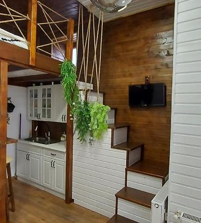 Garden Daire Satu Mare Dış mekan fotoğraf