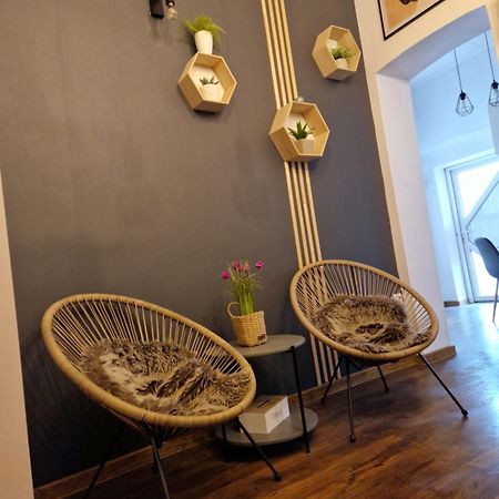 Garden Daire Satu Mare Dış mekan fotoğraf