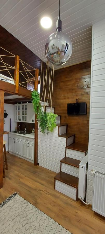 Garden Daire Satu Mare Dış mekan fotoğraf