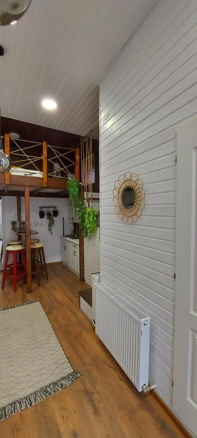 Garden Daire Satu Mare Dış mekan fotoğraf