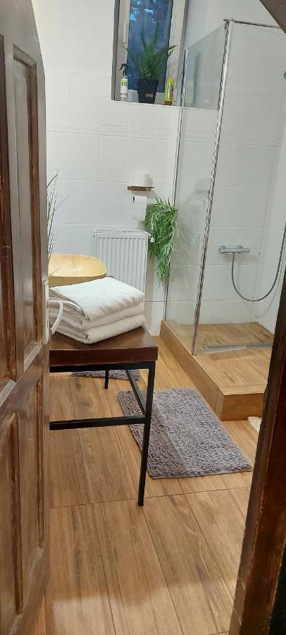 Garden Daire Satu Mare Dış mekan fotoğraf