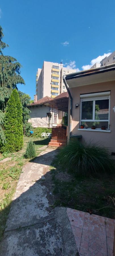 Garden Daire Satu Mare Dış mekan fotoğraf