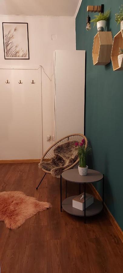 Garden Daire Satu Mare Dış mekan fotoğraf