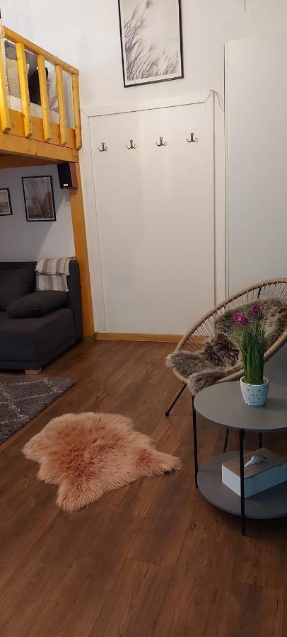 Garden Daire Satu Mare Dış mekan fotoğraf