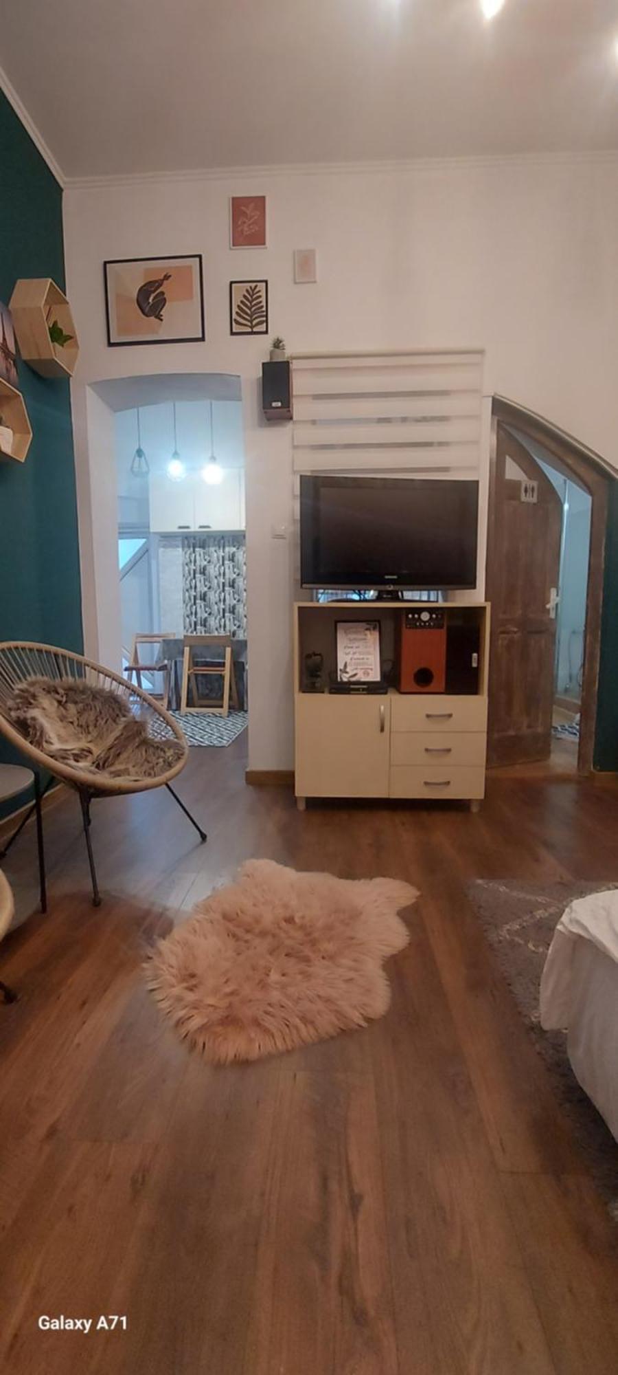 Garden Daire Satu Mare Dış mekan fotoğraf